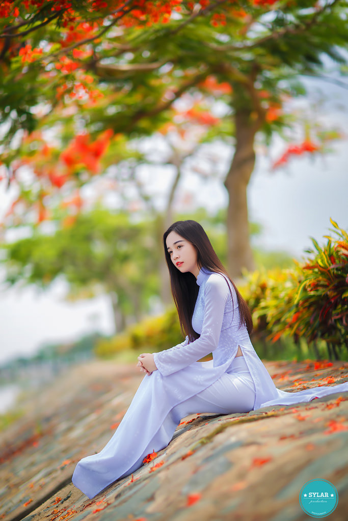 办公室女郎2